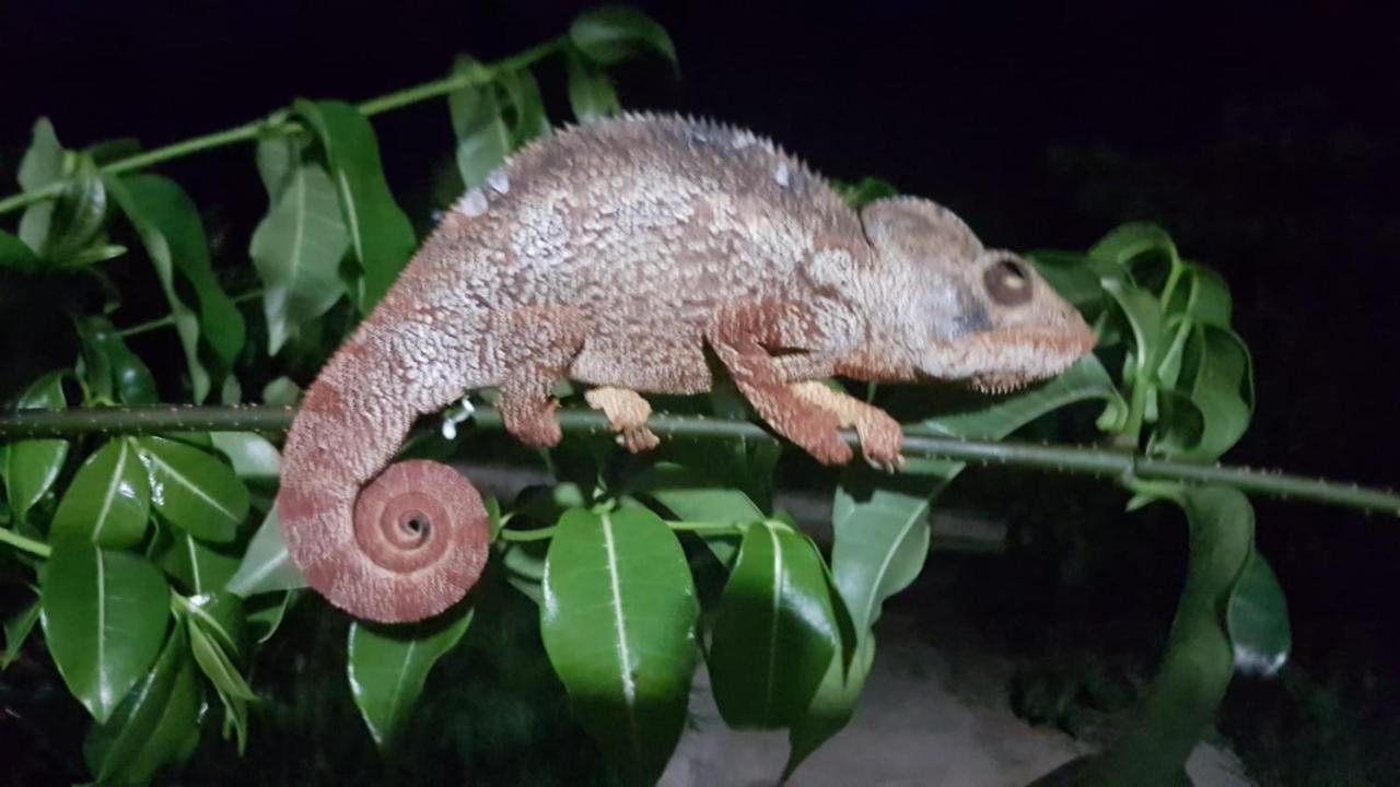 Sanjeela-Plage Coco Antsiranana エクステリア 写真