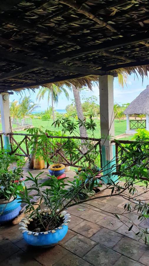 Sanjeela-Plage Coco Antsiranana エクステリア 写真